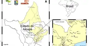 Foto: (Imagem sem texto alternativo disponivel ID [1895421])