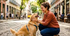 A psicologia questiona: o que significa o instinto constante de acariciar cães?