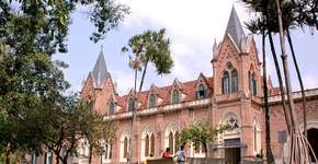 Foto: (Divulgação)