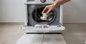 Foto: (Imagem sem texto alternativo disponivel ID [2687819])