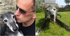 Cidade se reúne para último passeio de cachorro antes de morrer