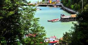 Foto: (Imagem sem texto alternativo disponivel ID [1455760])