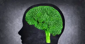 5 alimentos que podem cortar o risco de demência em 28%