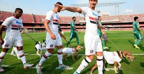 Foto: (FERNANDA FREIXOSA)