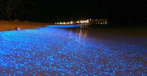 Foto: (Imagem sem texto alternativo disponivel ID [1393937])