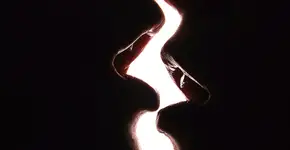 Sangue afeta desempenho sexual? Médico faz descoberta inesperada