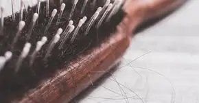 Foto: (Devenorr/istock)