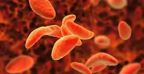 Foto: (Imagem sem texto alternativo disponivel ID [1621130])