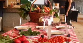 Experimenta! Comida, Saúde e Cultura