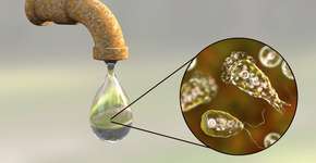 Foto: (katerynakon/Deposit Photos)