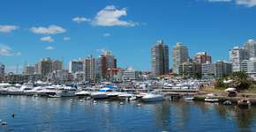 Foto: (Manlio/iStock)