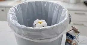 Foto: (Imagem sem texto alternativo disponivel ID [2734490])