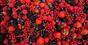 Foto: (Getty Images/iStockphoto)