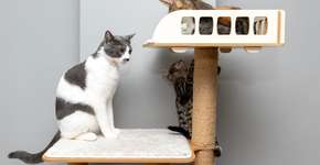 Foto: (Imagem sem texto alternativo disponivel ID [2665288])