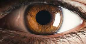 Foto: (Francesco Sgura/istock)