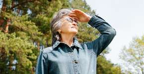 Foto: (iStock/Sergey Dementyev)