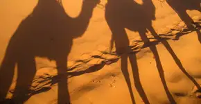 Planejamento de viagem: Regras de visitação e costumes