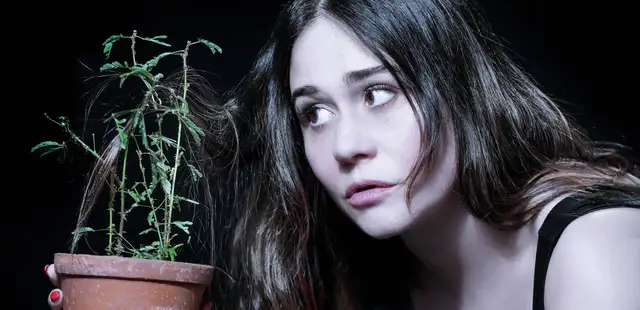 Espetáculo ‘A Árvore’