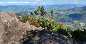 Foto: (Divulgação)