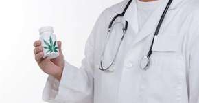 Lei autorizando uso medicinal da maconha é anunciada na Argentina