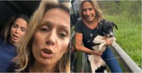 Anitta e Luisa Mell resgatam cães abandonados em estrada de SP
