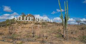 Foto: (Imagem sem texto alternativo disponivel ID [1999005])