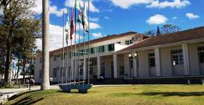 Foto: (Divulgação/IFC)