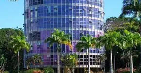 Foto: (Divulgação)