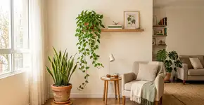 “Não precisa regar com frequência para que cresça bem”: Plantas de baixa manutenção recomendadas para pessoas ocupadas