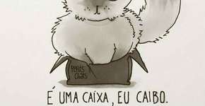 Livro ilustrado mostra como é a vida a partir da visão dos gatos