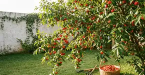 Foto: (Imagem sem texto alternativo disponivel ID [2741091])