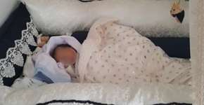 Foto: (Polícia Civil/Divulgação)