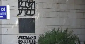 Foto: (tzahiV/iStock)