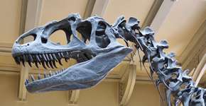 Cientistas confirmam dinossauros vivos atualmente