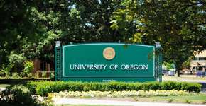 Foto: (sshepard/iStock)