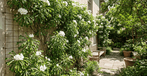 Foto: (Imagem sem texto alternativo disponivel ID [2751671])