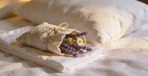 Foto: (Imagem sem texto alternativo disponivel ID [2679042])