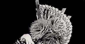 Foto: (Imagem sem texto alternativo disponivel ID [251073])