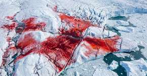 Foto: (Imagem sem texto alternativo disponivel ID [2787700])