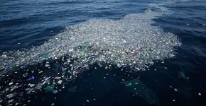 Foto: (Imagem sem texto alternativo disponivel ID [2701361])