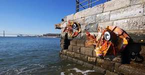 Foto: (Imagem sem texto alternativo disponivel ID [708895])