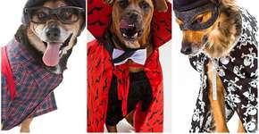 Foto: (Imagem sem texto alternativo disponivel ID [898525])