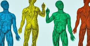 Foto: (Imagem sem texto alternativo disponivel ID [1828362])