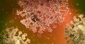 Confirmada a 1ª morte por Ômicron no Brasil