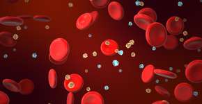 Foto: (iStock/Silver Place)