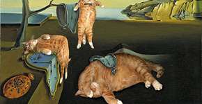 Artista russa insere seu gato de estimação em pinturas clássicas