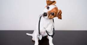 Foto: (Imagem sem texto alternativo disponivel ID [2610563])