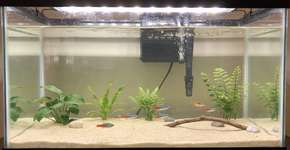 Foto: (Imagem sem texto alternativo disponivel ID [2701115])