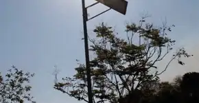 Projeto quer aplicar energias renováveis em campus de SP