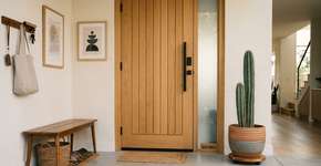 O cacto é resistente a quase tudo, mas nunca o deixe perto da porta de entrada